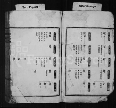 4544.王氏宗谱.pdf电子版插图4 4544.王氏宗谱.pdf电子版插图4