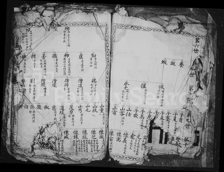 4553.国岭王氏族谱.pdf电子版插图4 4553.国岭王氏族谱.pdf电子版插图4