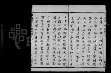 4573.中南王氏宗谱 [12卷,首1卷].pdf电子版插图4