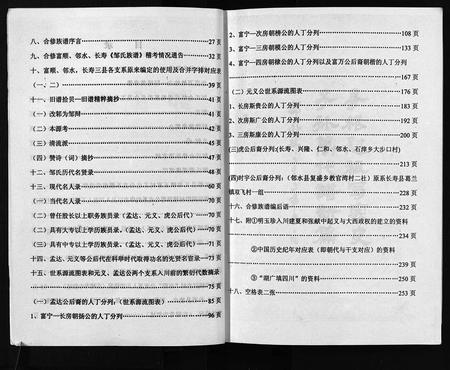 11754.邹氏族谱 [不分卷](别名：Zou Shi Zu Pu、邹氏族谱).pdf电子版插图4