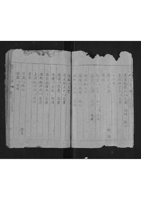 2762.贾氏族谱[卷数不详](别名：Jia Shi Zu Pu、贾氏族谱).pdf电子版插图4