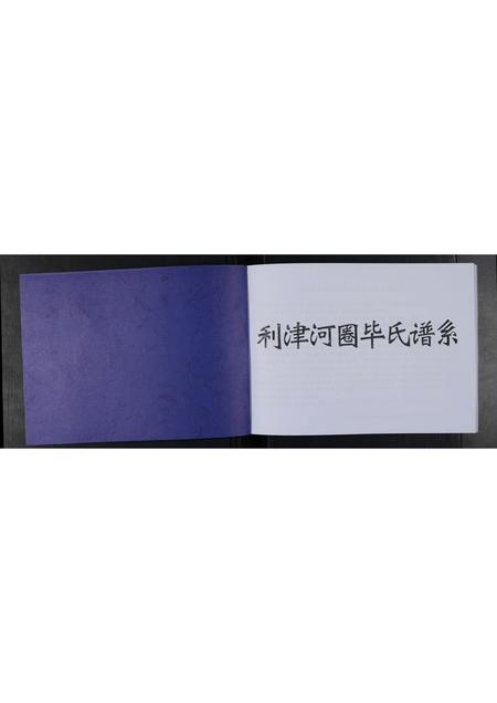 山东毕氏-利津河圈毕氏谱系 [不分卷].pdf电子版插图1