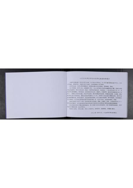 山东毕氏-利津河圈毕氏谱系 [不分卷].pdf电子版插图2