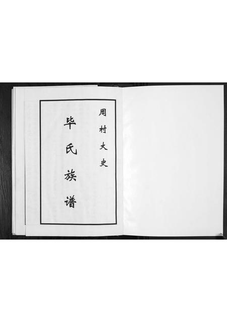 山东毕氏-周村大史毕氏族谱.pdf电子版插图1