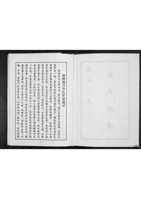 山东毕氏-周村大史毕氏族谱.pdf电子版插图2