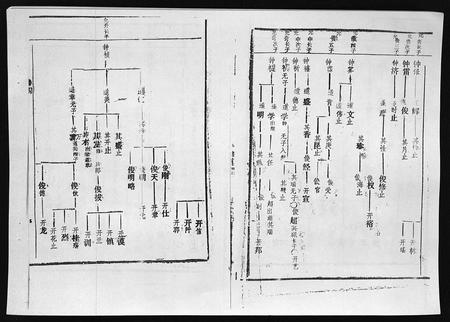 3742.廖氏族谱 [残卷](别名：Liao Shi Zu Pu、廖氏族谱).pdf电子版插图5