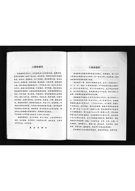 4094.沧州城东刘氏祖谱 [不分卷](别名：沧州城东刘氏族谱、Cang Zhou Cheng Dong Liu Shi Zu Pu、沧州城东刘氏祖谱).pdf电子版插图5