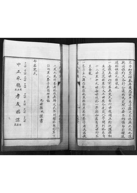 4856.甯氏族谱.pdf电子版插图5 4856.甯氏族谱.pdf电子版插图5