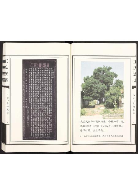 6316.七里庄王氏族谱 ： 八世讳良翰支谱 [全1册](别名：王氏族谱).pdf电子版插图5