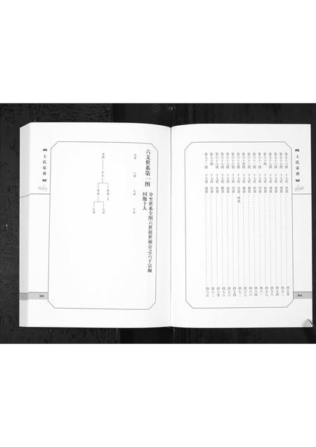 6331.城西王氏家谱 [上下册](别名：Cheng Xi Wang Shi Jia Pu、王氏家谱).pdf电子版插图5