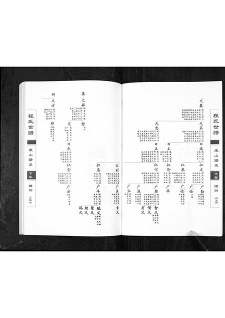 0771.程氏世谱海阳东山谱系[上中下卷](别名：Cheng Shi Shi Pu Hai Yang Dong Shan Pu Xi、程氏世谱东山谱系).pdf电子版插图5