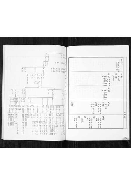8590.福谨公吴氏族谱 [1册](别名：Fu Jin Gong Wu Shi Zu Pu、福谨公吴氏族谱).pdf电子版插图5