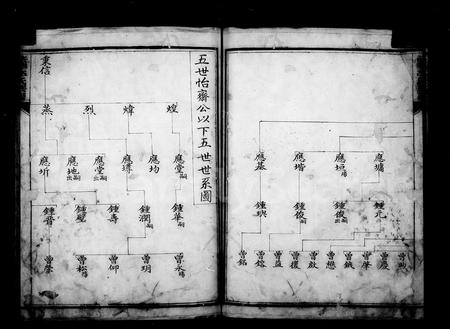 4303.漎溪李氏族谱(别名：法华李氏族谱).pdf电子版插图5