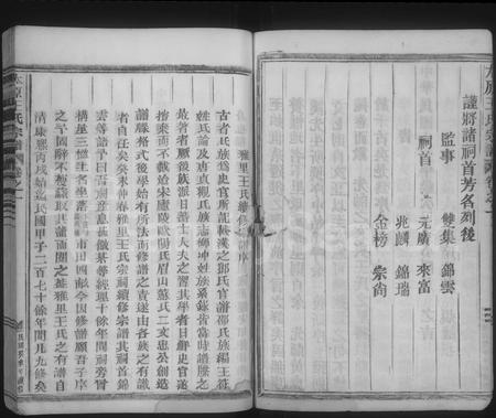 4582.太原王氏宗谱 [4卷](别名：雅里王氏宗谱).pdf电子版插图5