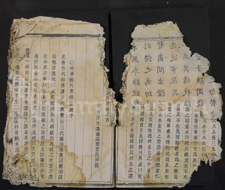 4736.金华姚车姚氏宗谱 [残卷](别名：姚氏宗谱).pdf电子版插图5