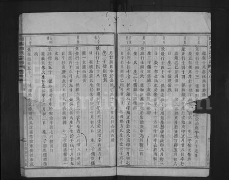 4839.浦阳赵氏宗谱 [残卷](别名：浦阳赵氏宗谱).pdf电子版插图5