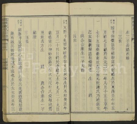 4905.龙溪祝氏宗谱 [残卷].pdf电子版插图5