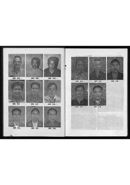 11767.桂东南邹氏族谱(容县卷)(别名：Gui Dong Nan Zou Shi Zu Pu (Rong Xian Juan)、桂东南邹氏族谱(容县卷)).pdf电子版插图5