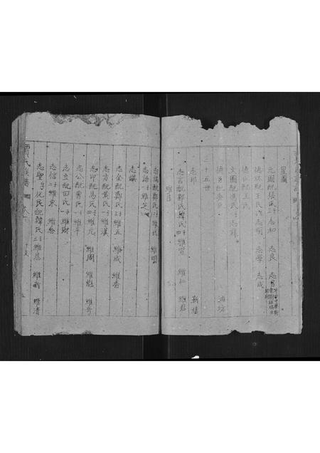 2762.贾氏族谱[卷数不详](别名：Jia Shi Zu Pu、贾氏族谱).pdf电子版插图5