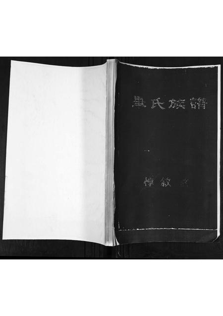 山东毕氏-毕氏族谱.pdf电子版插图
