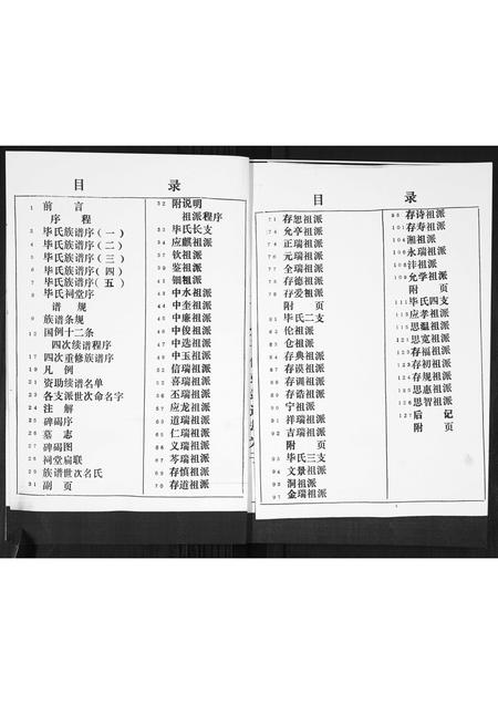 山东毕氏-毕氏族谱.pdf电子版插图3
