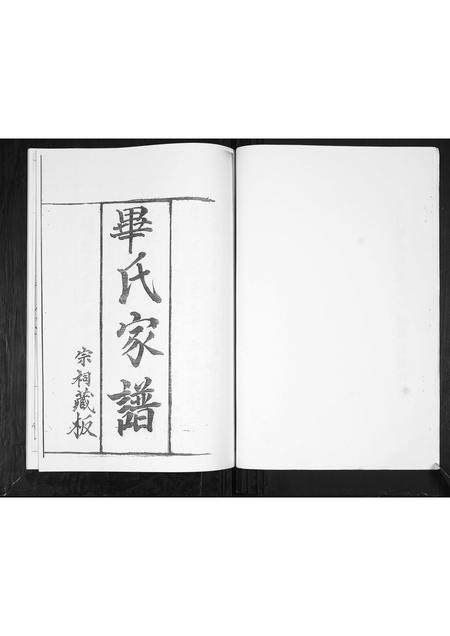 山东毕氏-毕氏族谱.pdf电子版插图2