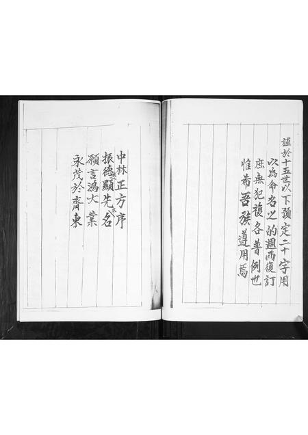 山东毕氏-毕氏族谱.pdf电子版插图4