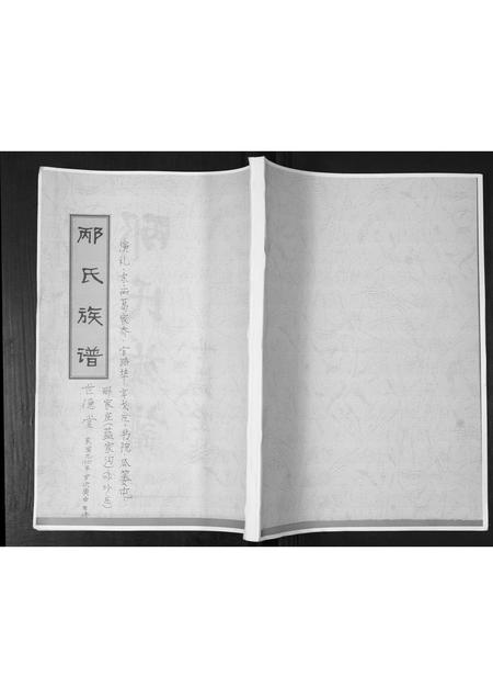 山东邴氏-邴氏族谱.pdf电子版插图