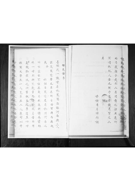 山东邴氏-邴氏族谱.pdf电子版插图3