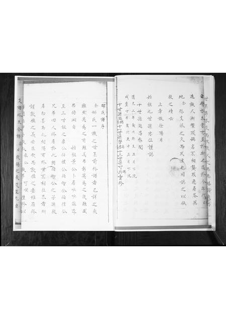 山东邴氏-邴氏族谱.pdf电子版插图4