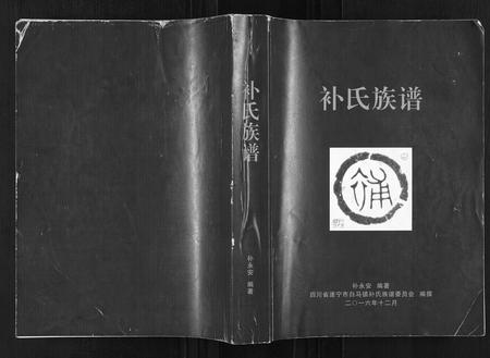 四川补氏-补氏族谱.pdf电子版插图