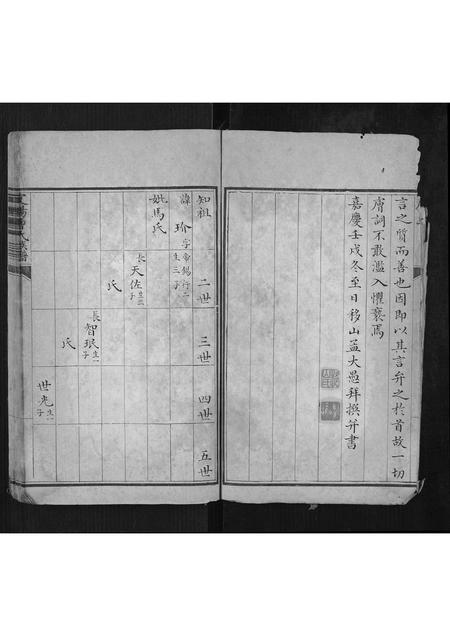 山西曹氏-定阳曹氏族谱[不分卷].pdf电子版插图4