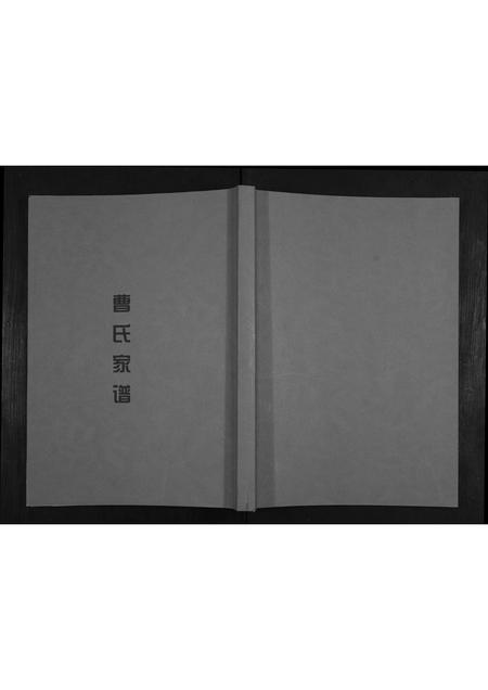 贵州曹氏-曹氏家谱.pdf电子版插图