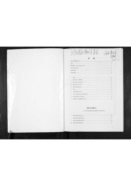 辽宁曹氏-曹氏家谱.pdf电子版插图1