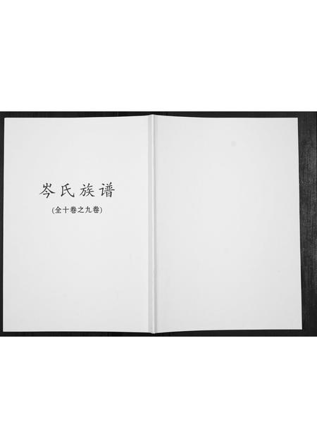 广西岑氏-岑氏族谱[10卷].pdf电子版插图