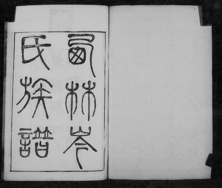 广西岑氏-西林岑氏族谱 [10卷, 首1卷].pdf电子版插图2