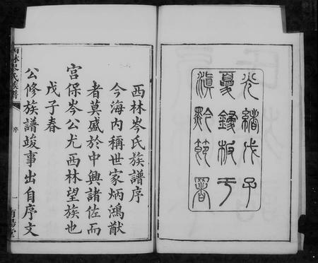 广西岑氏-西林岑氏族谱 [10卷, 首1卷].pdf电子版插图3