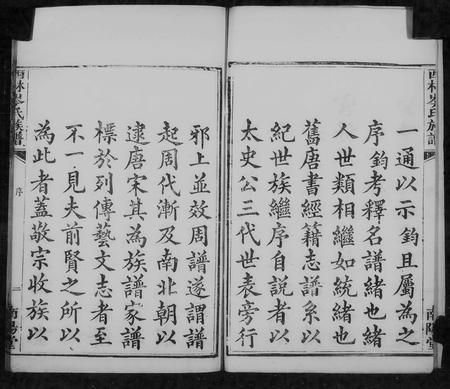 广西岑氏-西林岑氏族谱 [10卷, 首1卷].pdf电子版插图4