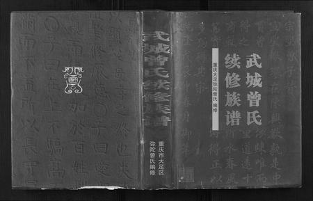 四川曾氏-武城曾氏族谱.pdf电子版插图