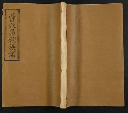 山东曾氏-曾致昌祠族谱[69卷含卷首, 终1卷].pdf电子版插图