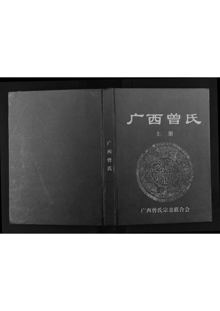 广西曾氏-广西曾氏.pdf电子版插图