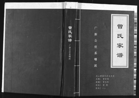 广西曾氏-曾氏家谱.pdf电子版插图