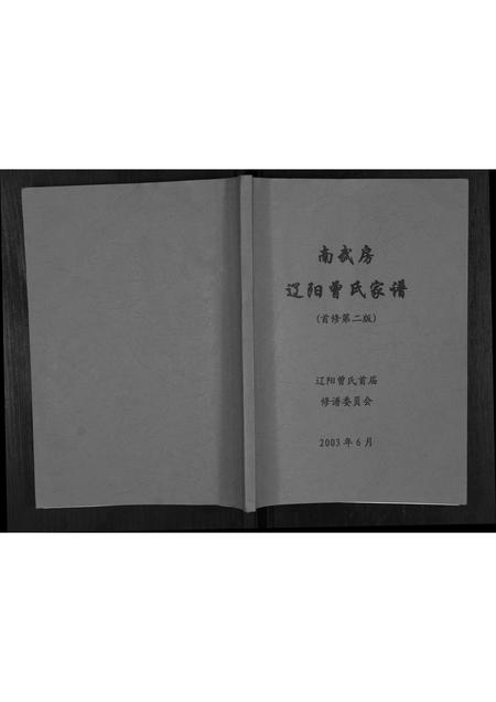 辽宁曾氏-南武房辽阳曾氏家谱[不分卷].pdf电子版插图