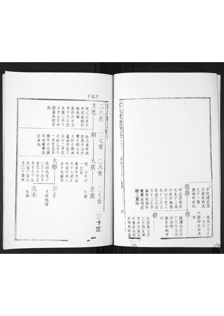 山东查氏-查氏通谱.pdf电子版插图3