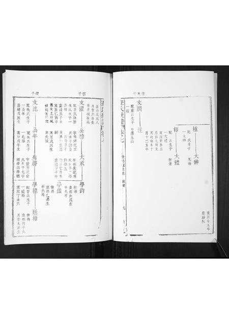 山东查氏-查氏通谱.pdf电子版插图5