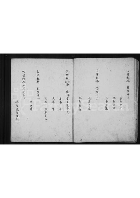 山西柴氏-柴氏家谱.pdf电子版插图5