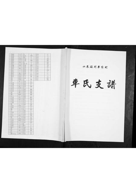 山东车氏-车氏支谱.pdf电子版插图