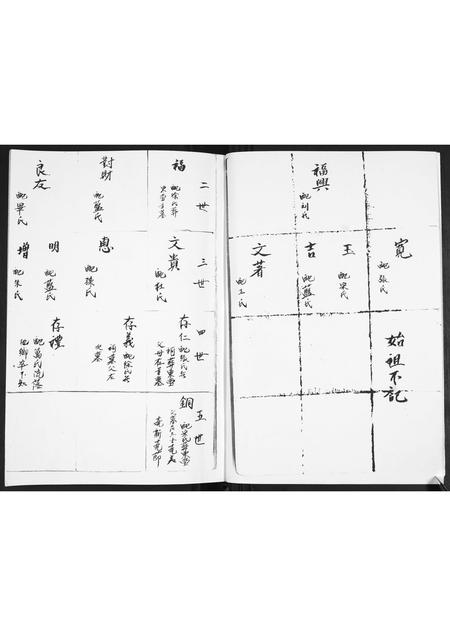 山东车氏-车氏族谱.pdf电子版插图2