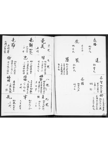 山东车氏-车氏族谱.pdf电子版插图3