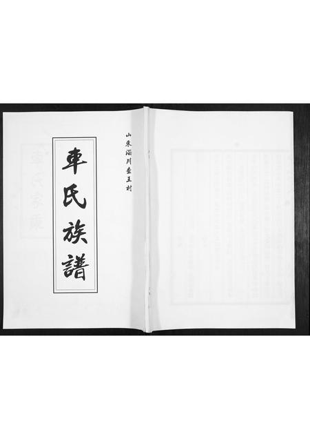 山东车氏-车氏族谱.pdf电子版插图